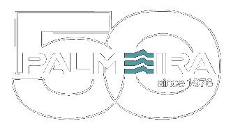 Palmeira Motors